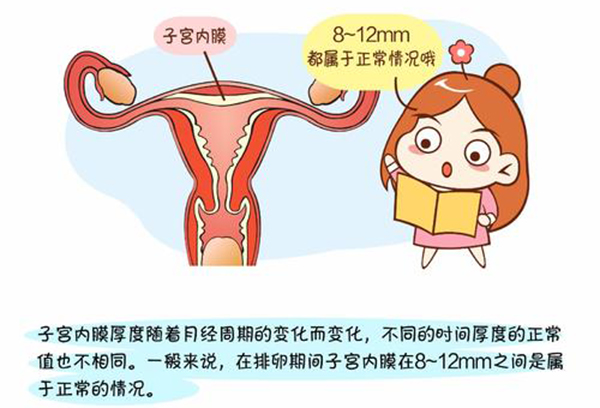 供卵试管婴儿医院肥胖女性如何减肥