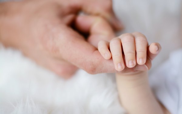 AMH2.19是什么意思,我是月,借卵试管婴儿,其他