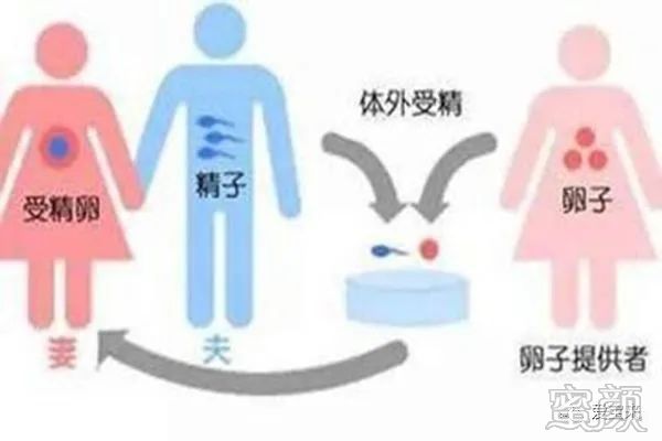 多次流产后能否做借卵试管婴儿-多次流产后能否做借卵试管婴儿