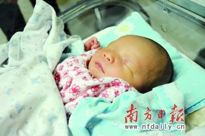 哪些体质的人更有可能通过赠卵试管婴儿生出双胞胎？