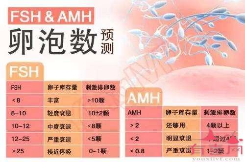 60多岁失去丈夫的老妇人生下供卵试管双胞胎(图)