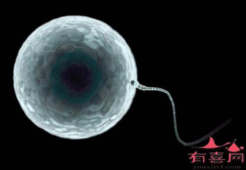 60多岁失去丈夫的老妇人生下供卵试管双胞胎(图)
