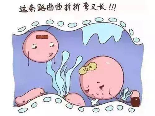 精子形态异常的男性可以做供卵试管婴儿吗？