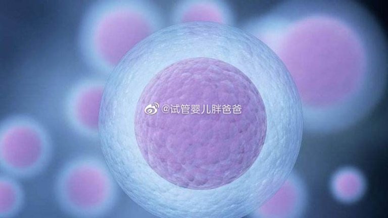精子形态异常的男性可以做供卵试管婴儿吗？