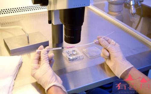 2022年临沂市人民医院私立供卵试管成功率、费用及流程指南