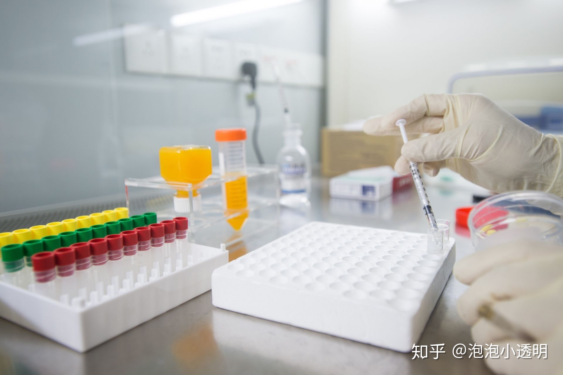 以下是你不知道的关于借卵供卵自怀机构双胞胎的情况