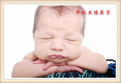 供卵做试管婴儿可以放两个吗