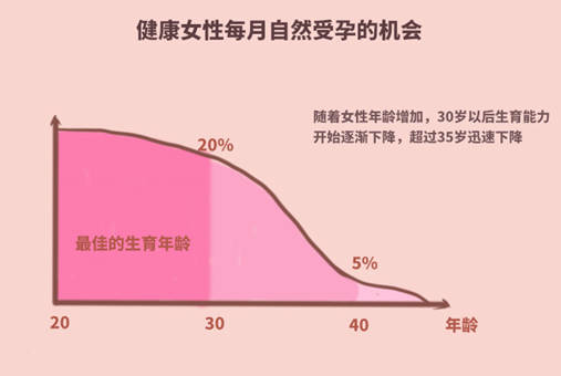 借卵做试管婴儿需要多少钱