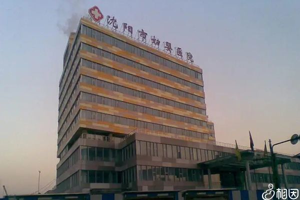 湖北哪个医院做赠卵试管成功率高