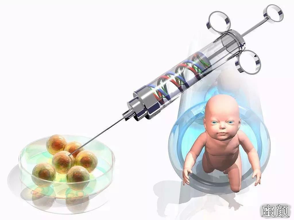 湖北武汉省借卵试管婴儿可以用新农合报销吗