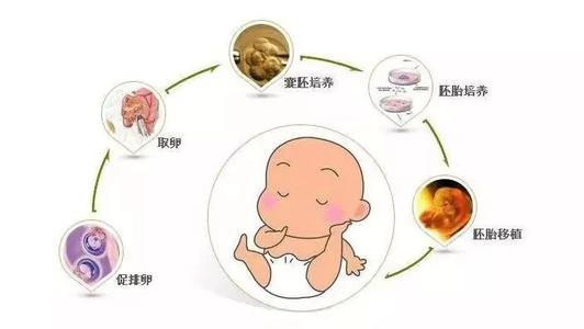 湖北中心医院赠卵试管婴儿成功率