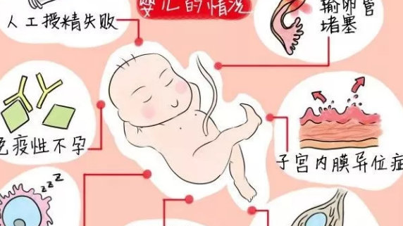 供卵试管和人工受孕哪个更伤身体