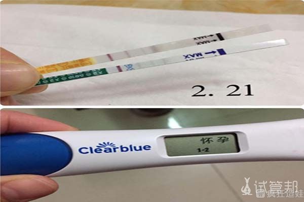 武汉哪个医院做试管婴儿成功率最高