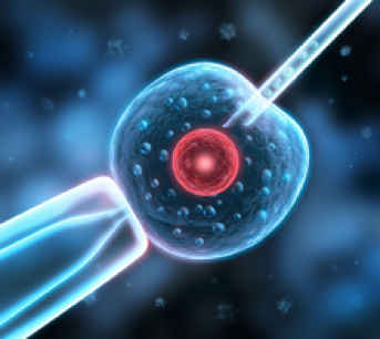 多囊一般多久可以怀孕多囊卵巢治疗多久可以怀孕