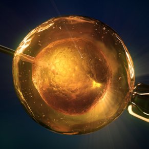2023年武汉试管生男孩费用多少钱？附费用明细？