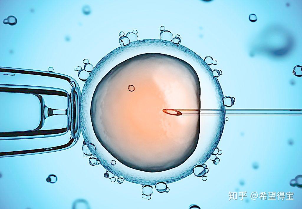 试管代怀妈妈如何报名复苏人工周期流程