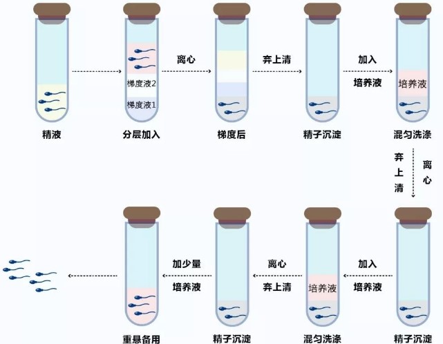 武汉有能地下试管代怀安全吗婴儿的医院吗湖北武汉哪个医院可以试