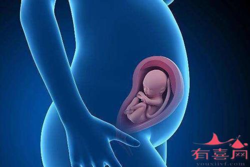 武汉市妇幼保健院试管代怀怎么操作婴儿到底需要多少钱