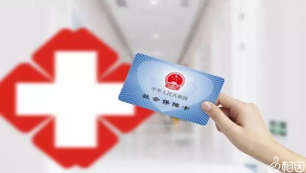 做完试管后注意事项