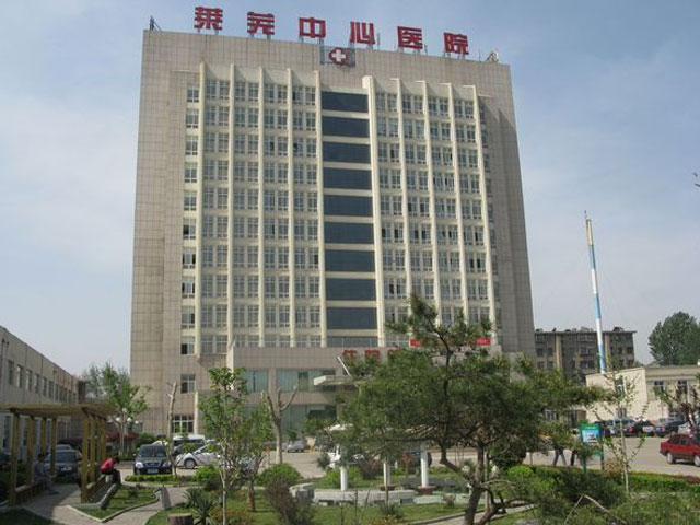 武汉市第三代人工代怀方法多少钱（公司价格95848元）