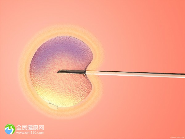 「亲子怎么鉴定」临床上造成输卵管堵塞的主要原因+