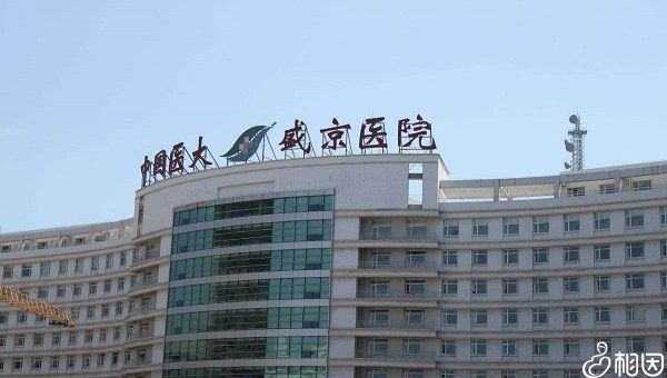 短方案试管步骤和流程